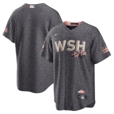 Washington Nationals Nike Gray 2022 City Connect Replica Jersey - Mans