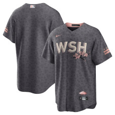 Washington Nationals Nike Gray City Connect Replica Team Jersey - Mans