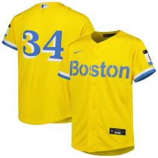 Boston Red Sox David Ortiz Nike Gold City Connect Replica Player Jersey - Youth Boys