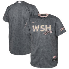 Washington Nationals Nike Gray 2022 City Connect Replica Jersey - Youth Boys