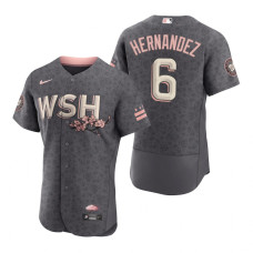 Washington Nationals Cesar Hernandez Gray 2022 City Connect Authentic Jersey