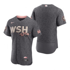 Washington Nationals Gray 2022 City Connect Authentic Jersey