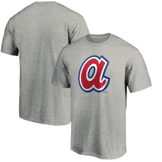 Men's Atlanta Braves Fanatics Branded Ash Forbes T-Shirt