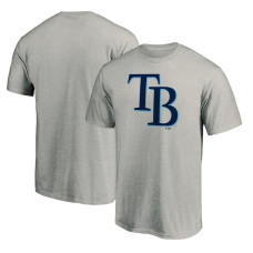 Men's Tampa Bay Rays Fanatics Branded Heathered Gray Official Team Logo T-Shirt