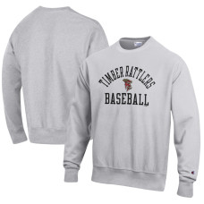 Men's Wisconsin Timber Rattlers Champion Gray Baseball Reverse Weave Pullover Sweatshirt